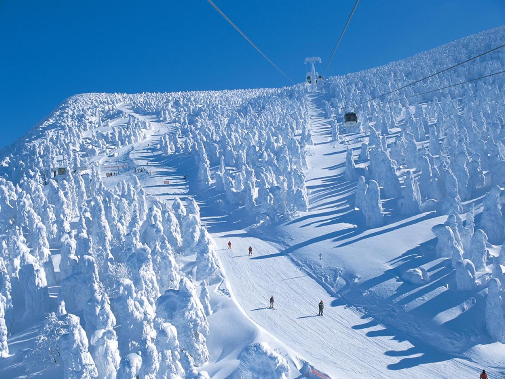 Zao Onsen Lodge Sukore - Vacation Stay 04418V Ямагата Экстерьер фото